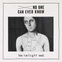 The Twilight Sad - No One Can Ever Know CD