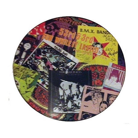 Fun While It Lasted picture disc vinyl