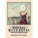 Neutral Milk Hotel large fly poster