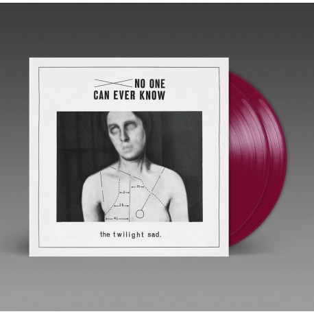 The Twilight Sad - No One Can Ever Know burgundy vinyl
